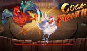 Đá Gà 3D Tại SonClub