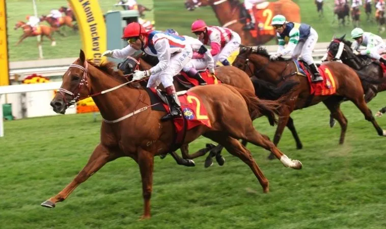 Tìm Hiểu Cá Cược Đua Ngựa SonClub Chuyên Nghiệp 1 đua ngựa SonClub