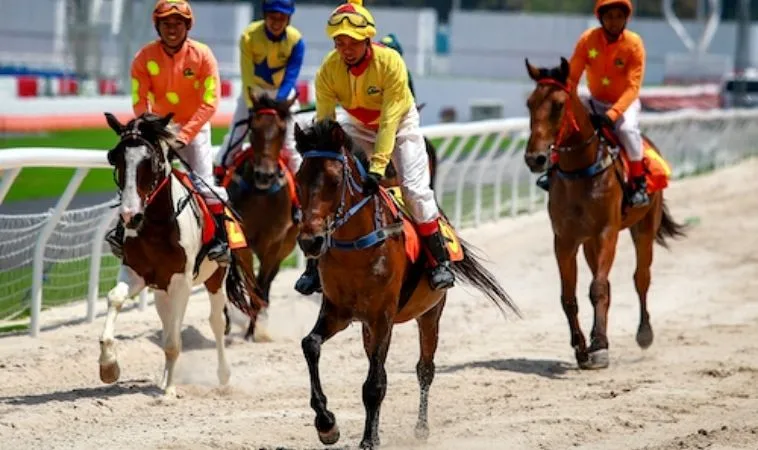 Tìm Hiểu Cá Cược Đua Ngựa SonClub Chuyên Nghiệp 2 Cần tìm hiểu kỹ về bộ môn đua ngựa SonClub trước khi cá cược